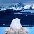 A SUSTAINABLE COMMUNITY PLAN 
Kugluktuk, Nunavut, CA 
With the Government of Nunavut